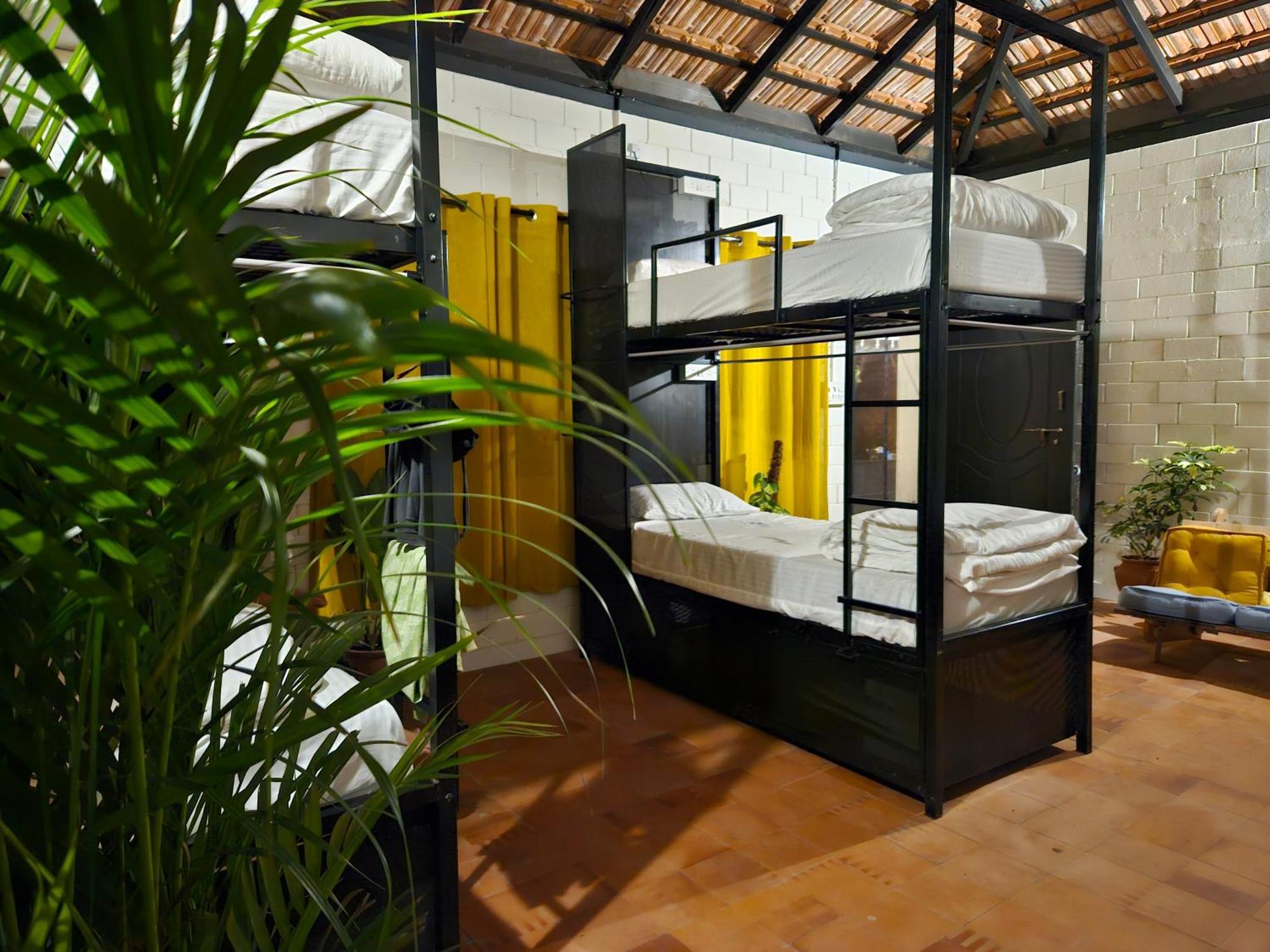 Benomadic Eco Hostel, Madikeri, Coorg Suntikoppa Exterior photo